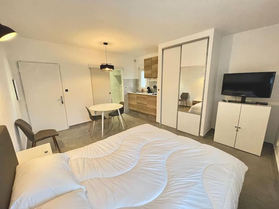 Apartment Hypercentre Parking Gratuit Ajaccio (Corsica)